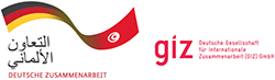 GIZ logo